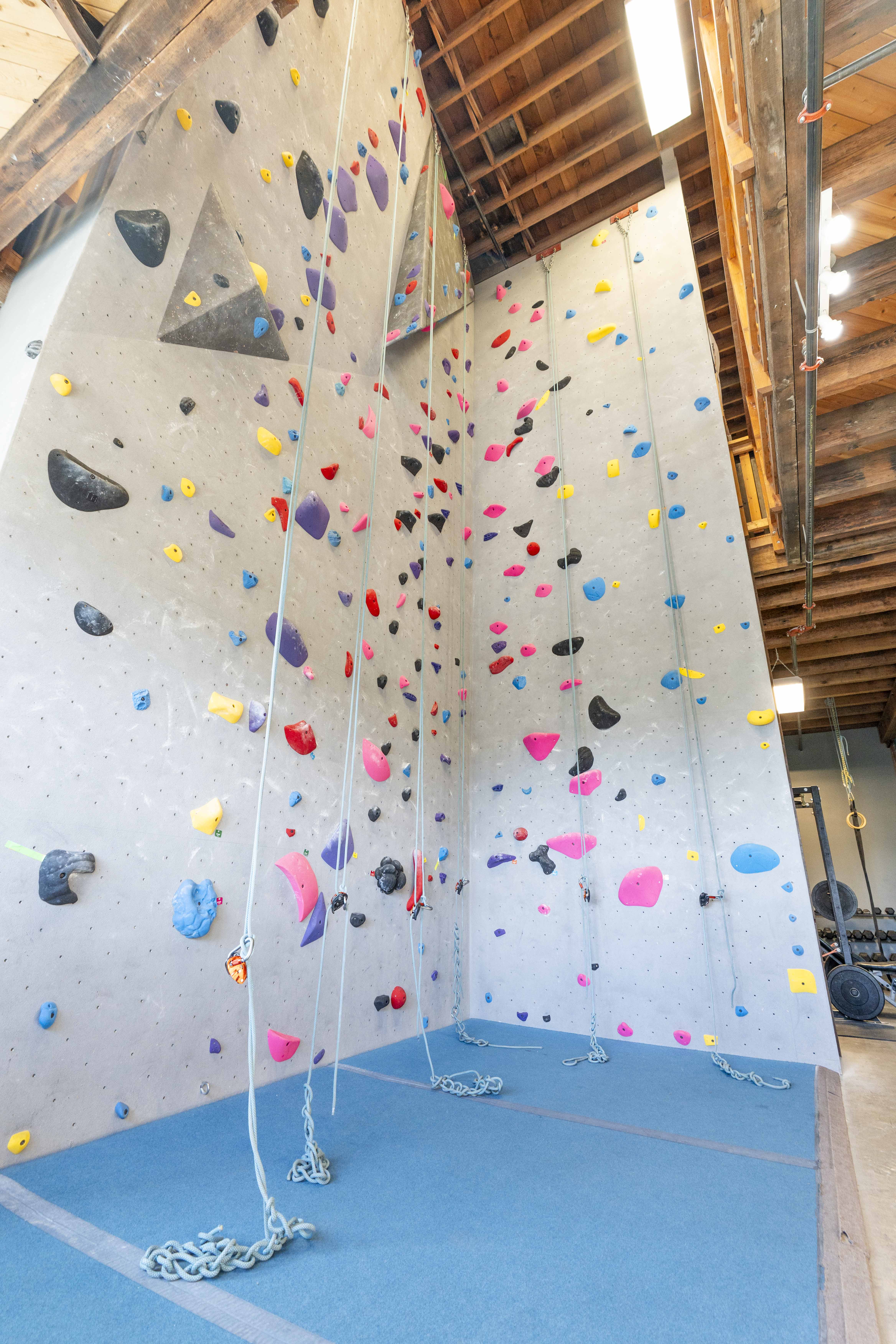 Top Out's top-rope climbing walls